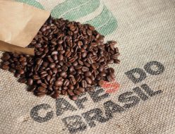 ブラジルサントス　コーヒー豆